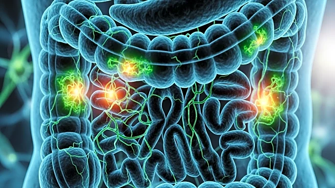 Study Reveals Gut's Role in Multiple Sclerosis Neuroinflammation