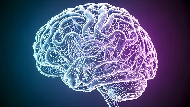 Study Reveals Brain Patterns Linking Chronic Pain to Depression