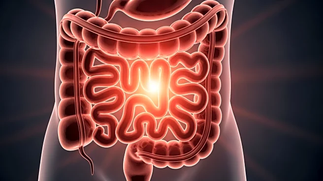 Rising Colorectal Cancer Cases Among Young Adults Highlight Urgent Health Concerns