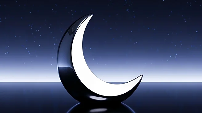 NASA Unveils 'Rise,' New Moon Mascot for Artemis II Mission