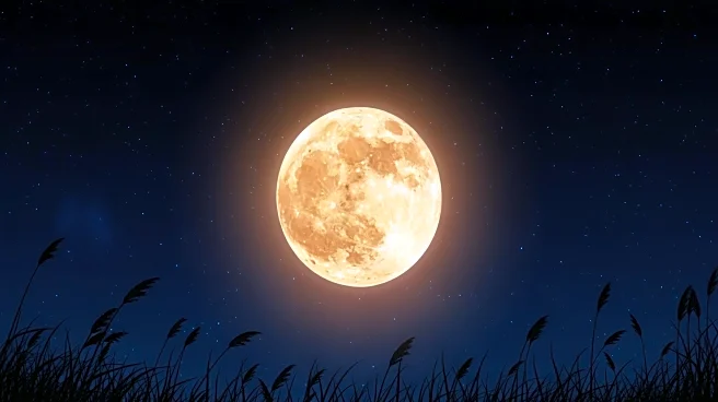 Astronomy Event: The Moon in Leo Illuminates Night Sky