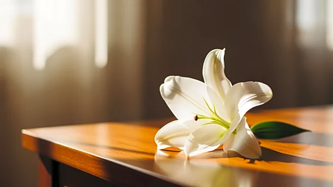 Tamie J. Lange Passes Away at 68, Community Mourns