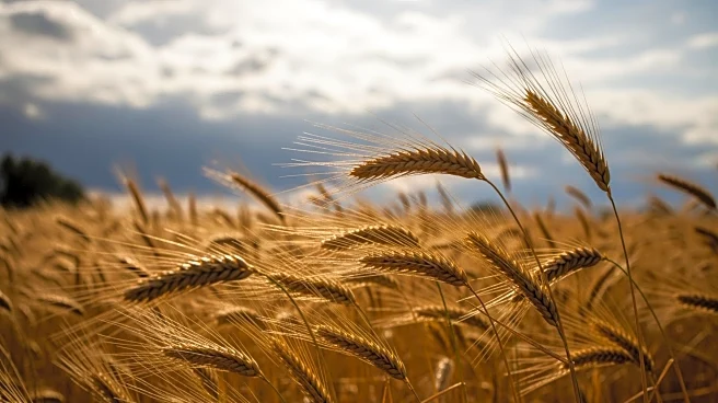 Maryland Weather: Warmer Temperatures and Breezy Conditions Before Rain Chances