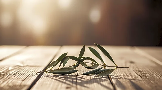 Sister's Campaign Leads to Release of Sibling Held Captive in Iraq for 903 Days