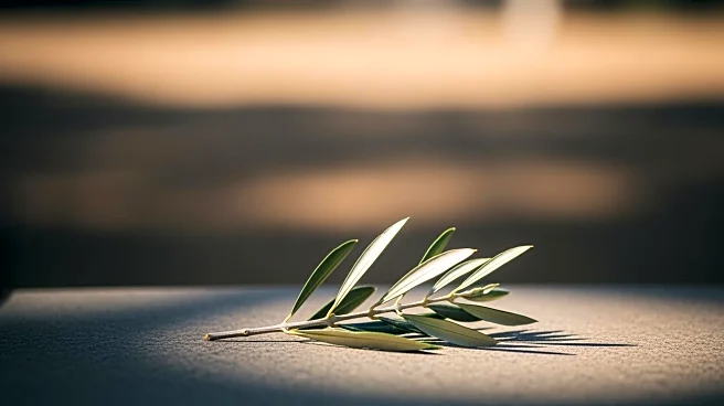 UN Peacekeeper from Indonesia Killed in Southern Lebanon Amid Rising Tensions