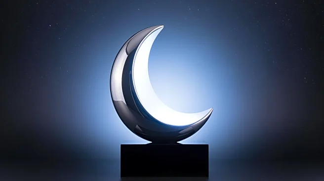 NASA Unveils 'Rise,' the Moon Mascot for Artemis II Mission