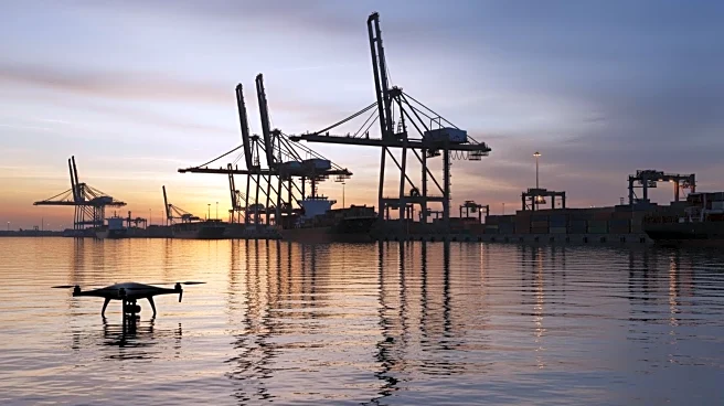 Ukrainian Drone Strikes Disrupt Operations at Russia's Ust-Luga Port