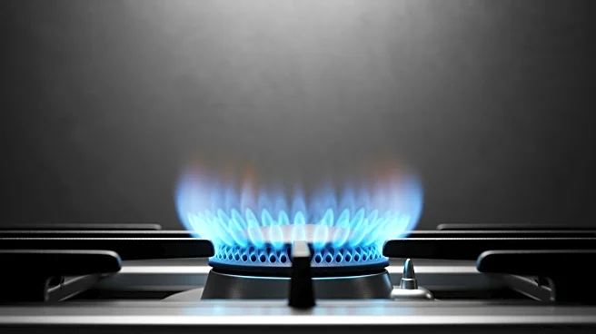 Japan Faces Rising LNG Costs Amid Middle East Tensions and Global Competition