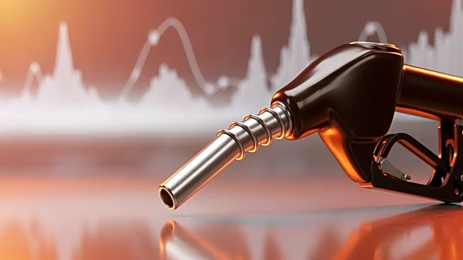 US Fuel Prices Surge Past $4 a Gallon Amid Iran Conflict