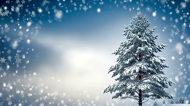 Minnesota Braces for Heavy Snow as Two Storm Systems Approach