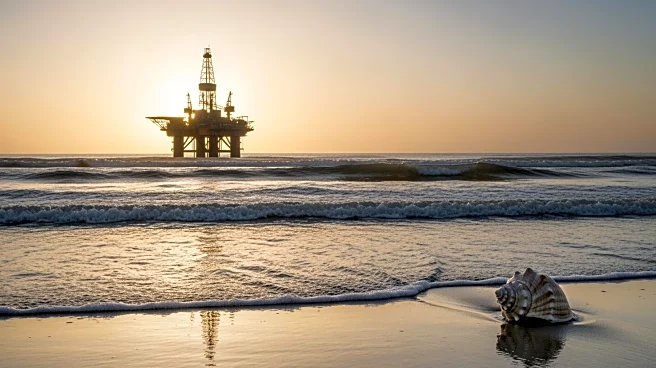 Endangered Species Law Waived for Gulf Drilling Amid Controversy