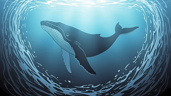 Humpback Whale Stranded in Baltic Sea Faces Challenges in Return to Atlantic