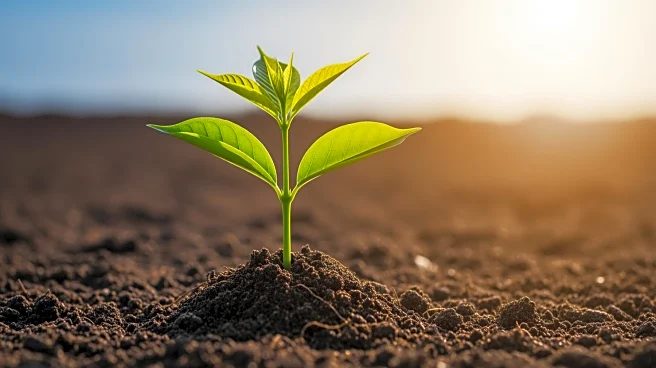 The Solutions Project Amplifies Black-Led Climate Initiatives Across the U.S.