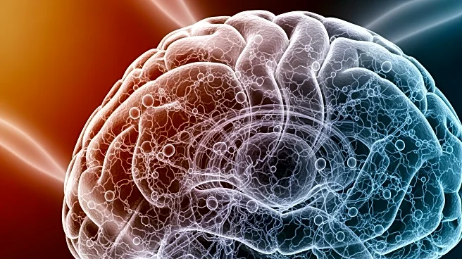 New Study Suggests Alzheimer's May Originate from Body Tissue Inflammation, Challenging Traditional Views