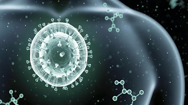 Harvard Study Explores Why Some Viruses Remain Dormant in Human Bodies