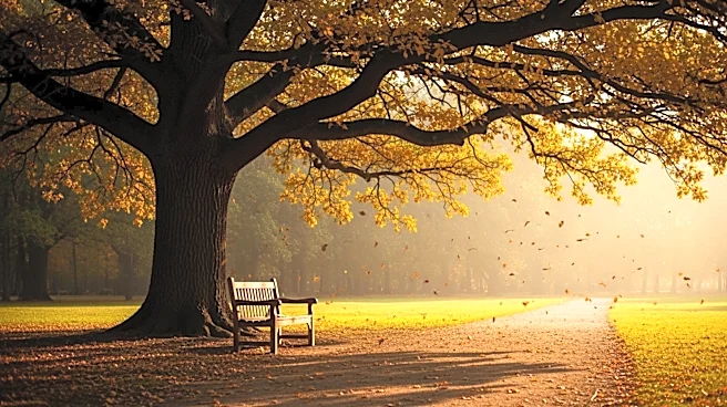 John Self of Spruce Pine Passes Away at 82