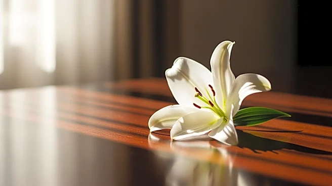 Steven Morton Passes Away at 68 After Battling Cancer