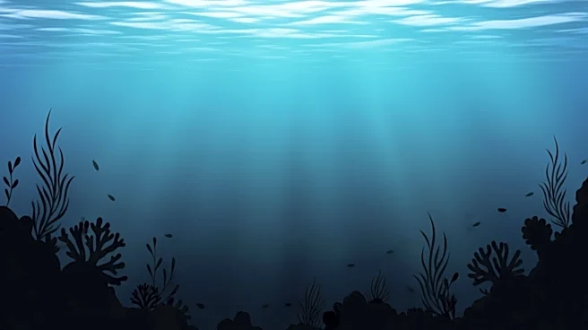 Marine Scientist Highlights Ocean Darkening and Its Impact on Ecosystems