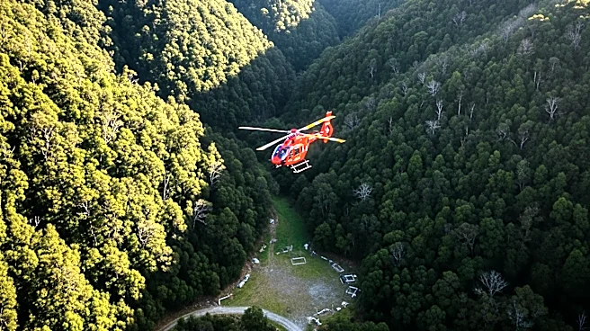Helicopter Rescues Lost Dog in New Zealand After Public Funds Search