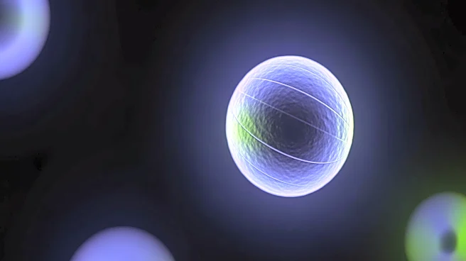 Lipid Nanoparticles Enhance CAR T Therapy for Pancreatic Cancer