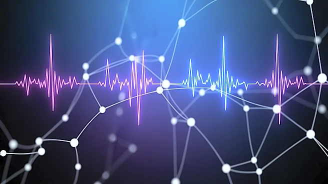 Northwestern Scientists Uncover Mechanisms Behind High Gamma Brain Activity