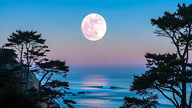 Pink Moon to Illuminate California Skies on April Fools' Day