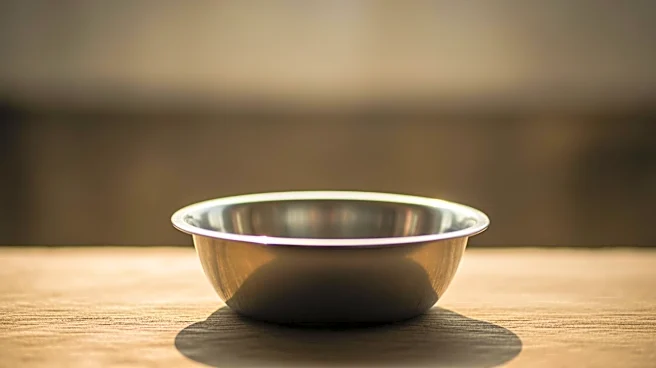 Rohingya Refugees in Bangladesh Face Reduced Food Assistance Amid Aid Cuts