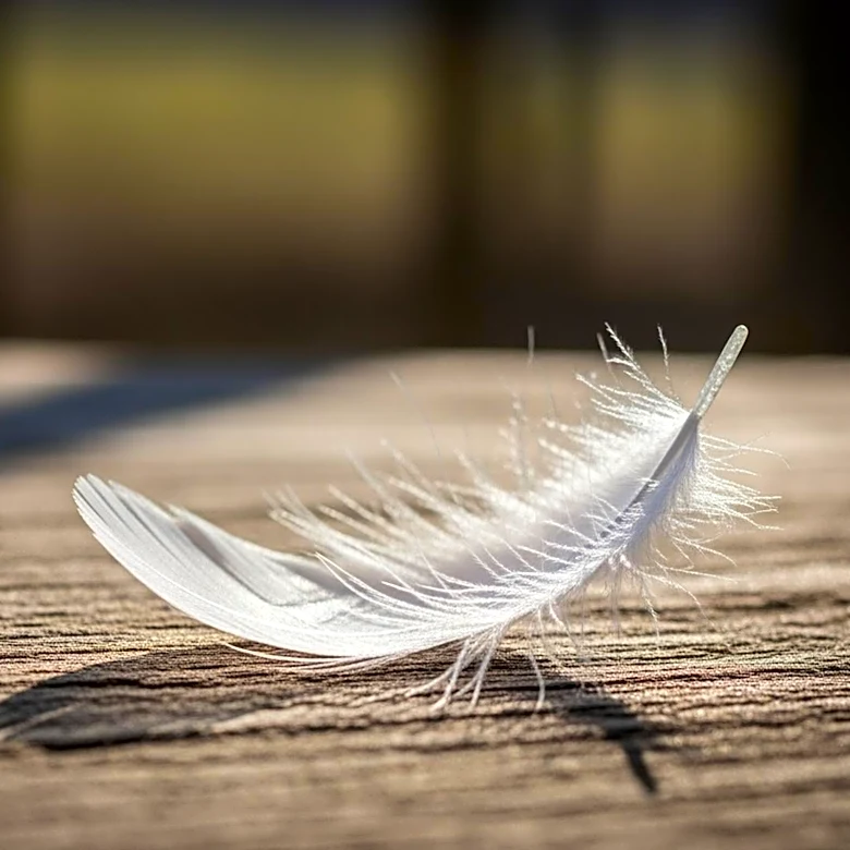 Arkansas Columnist Highlights Reproductive Health Care Challenges