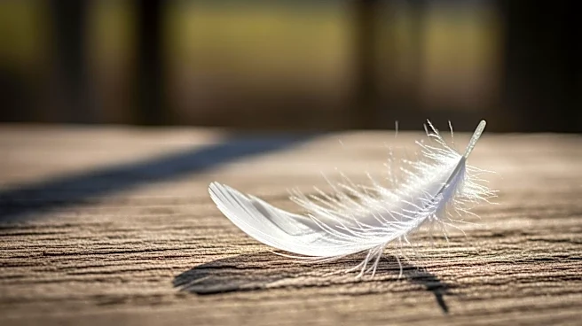 Arkansas Columnist Highlights Reproductive Health Care Challenges