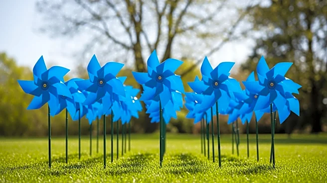 Baltimore Volunteers Plant 2,000 Pinwheels for Child Abuse Prevention