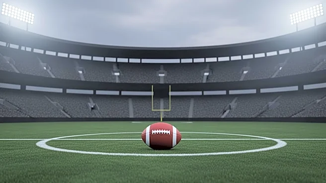 Italian Football Federation Head Resigns After World Cup Qualification Failure