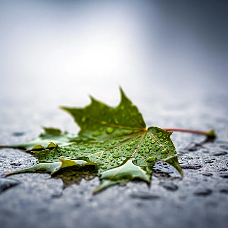 Maryland Braces for Cooler Temperatures and Rainy Easter Forecast