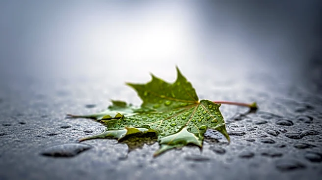 Maryland Braces for Cooler Temperatures and Rainy Easter Forecast