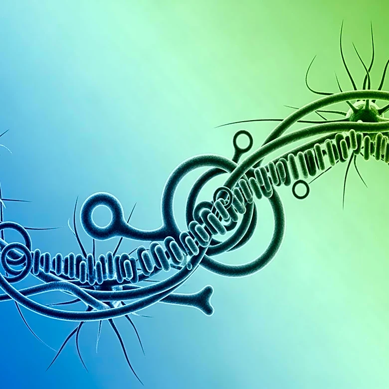 Emory University Researchers Link Gut Microbiome to Neurological Health