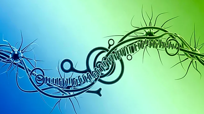 Emory University Researchers Link Gut Microbiome to Neurological Health