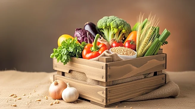 Nigeria Launches National Community Food Bank to Combat Hunger