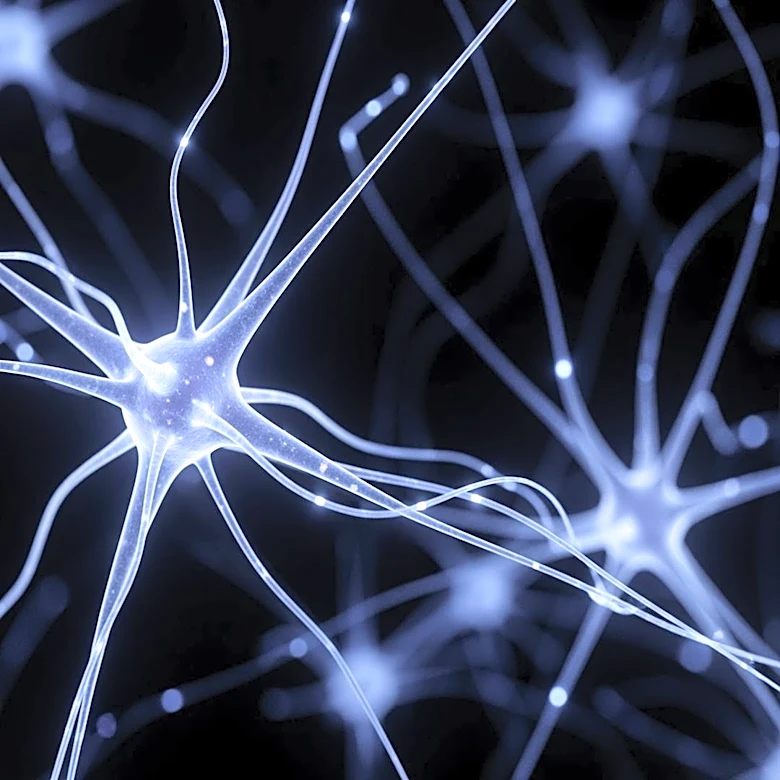 Memory Champion's Brain Study Reveals Techniques for Enhanced Recall