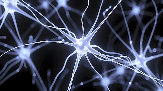 Memory Champion's Brain Study Reveals Techniques for Enhanced Recall