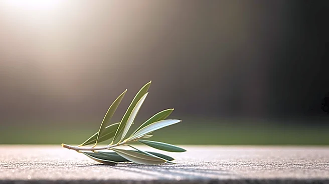 Lebanese Artist Files War Crime Complaint Against Israel Over Parents' Death