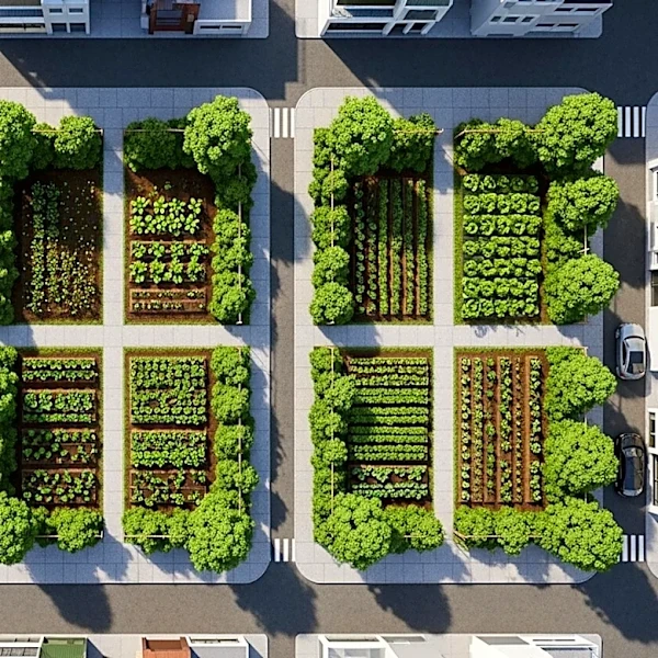 Town Planning Commission Develops Three-Tiered Urban Agriculture System Based on Lot Size