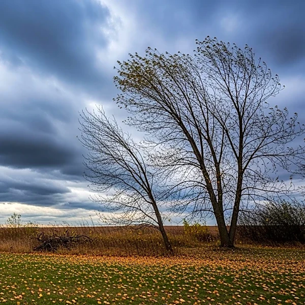 Minnesota Faces Messy Weather Conditions Ahead of Cooler Weekend