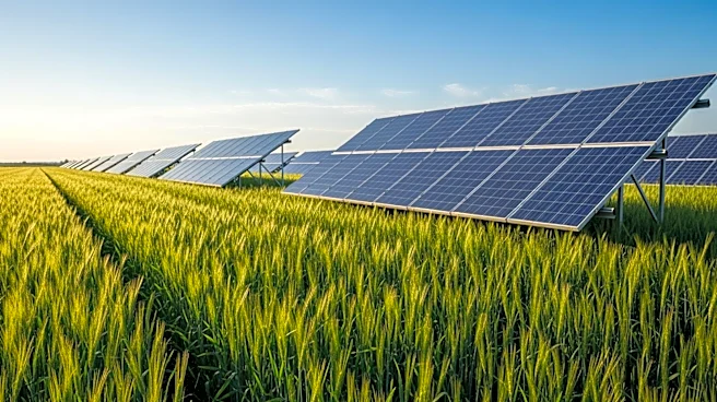 LONGi Founder Highlights Photovoltaics' Role in Enhancing Food Security Amid Climate Challenges