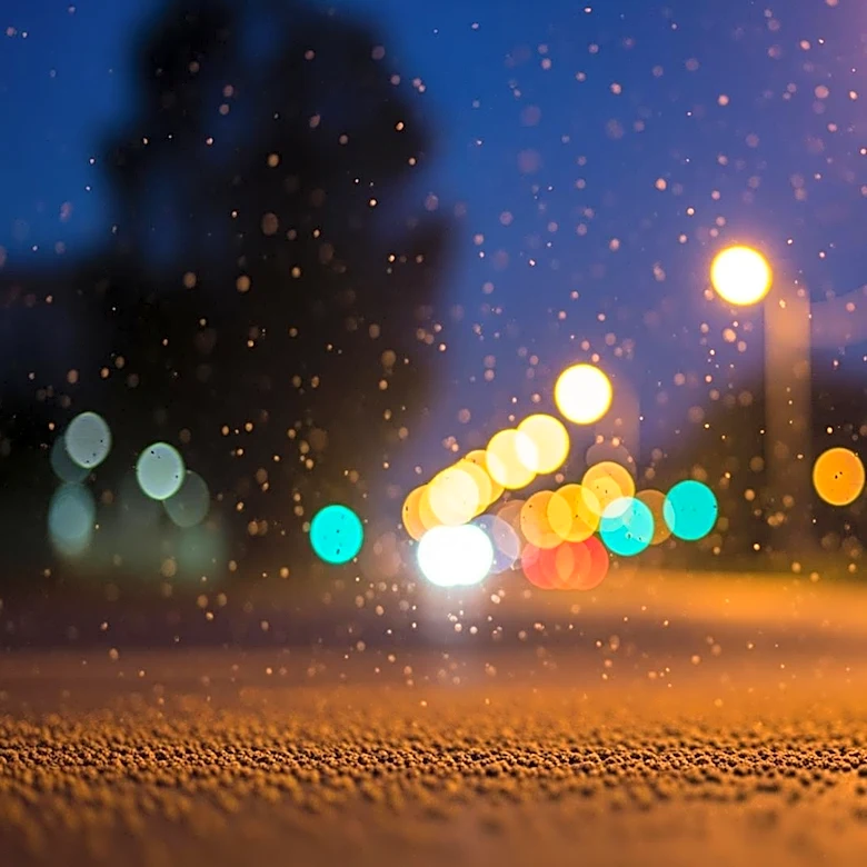 Artificial City Lights Extend Pollen Allergy Season, Affecting Millions