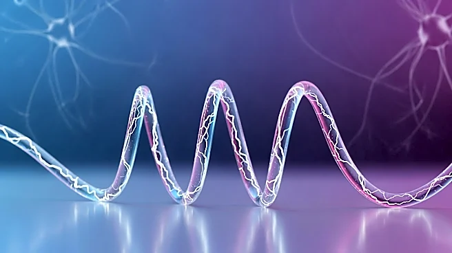 Purdue Researchers Develop Conductive Polymers in Brain for Medical Applications