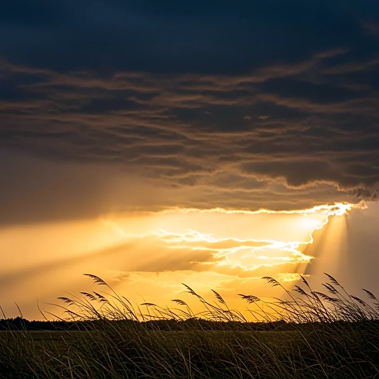 Warm Front Brings Severe Weather Threat to Chicago Area