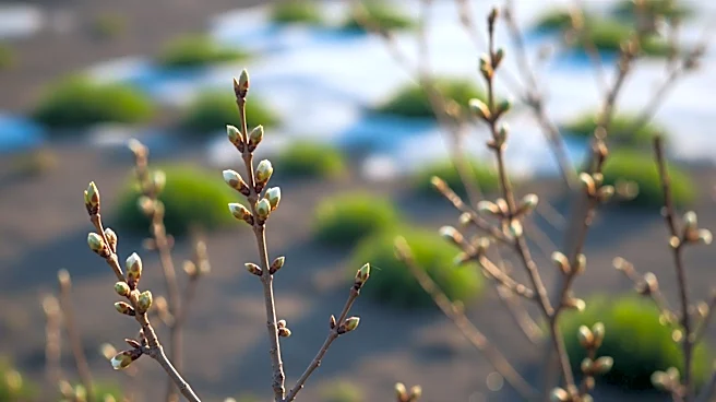 Early Spring Arrival Raises Concerns for U.S. Agriculture and Ecology