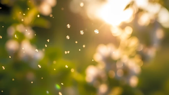 Experts Warn of Longer Allergy Seasons Due to Climate Changes Affecting Millions