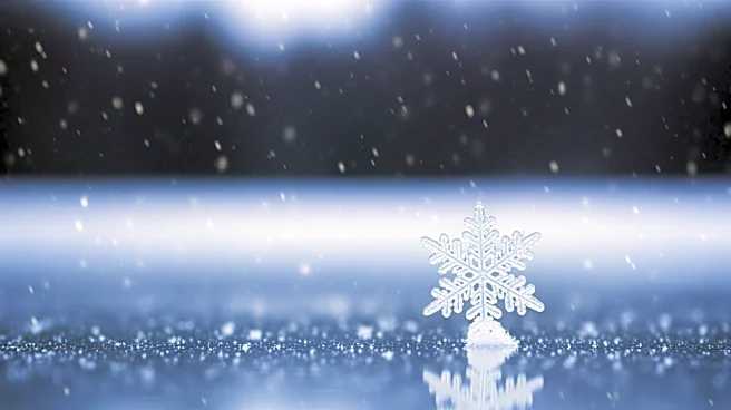 Capital Weather Gang's Snowfall Contest Accurately Predicts D.C.'s Winter Snowfall