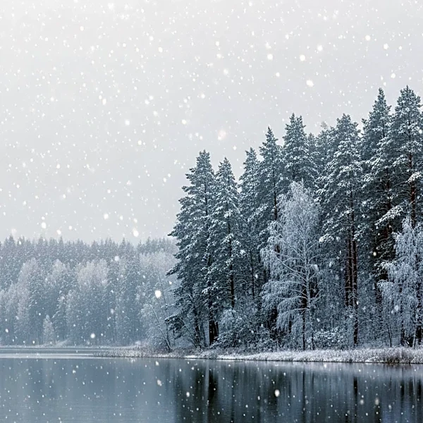 Minnesota Weather Forecast: Snow Expected in Northern Regions with Minimal Impact in Twin Cities