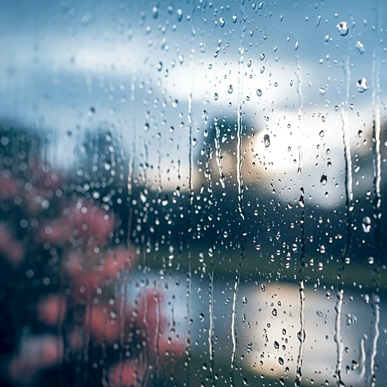 Philadelphia Prepares for Rainy Easter Sunday Following Record Warmth